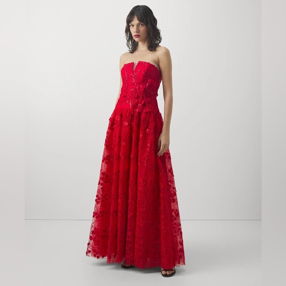 Monique Lhuillier Dresses & Skirts - Monique Lhuillier Embroided Strapless Gown
